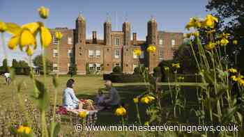 Your next family day out: Free National Trust pass for Premium subscribers