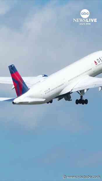 Plane reportedly hit by firework