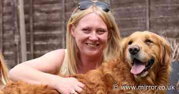 AD FEATURE: Spiralling vet bills left one family facing an agonising choice until a text changed everything
