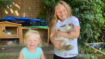 Mother taken to court by housing association for keeping pet rabbit in shared garden