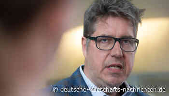 Umstrittene EEG-Reform: Grüne wollen Reiche in Ausschuss zitieren
