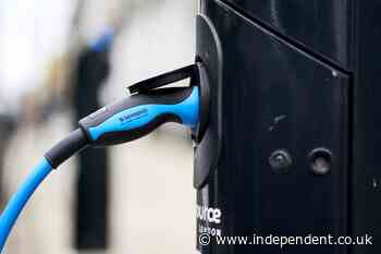 Electric car sales boom not enough to meet UK’s green vehicle targets, industry expert warns