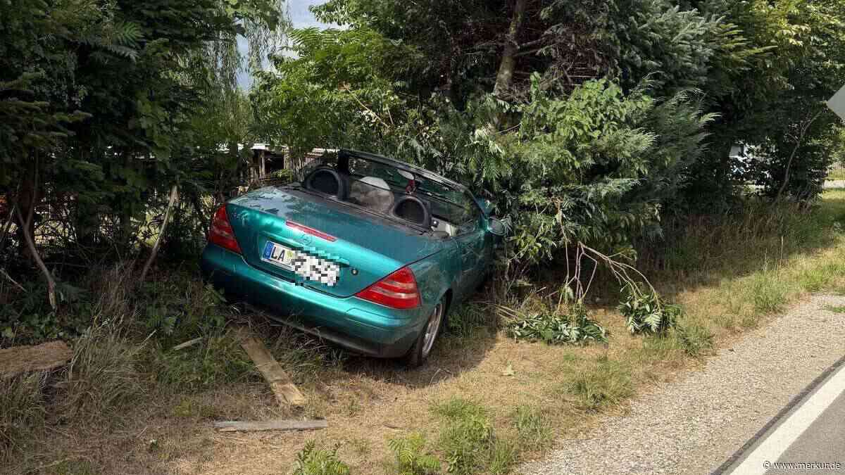 74-Jähriger erleidet Herzinfarkt am Steuer und prallt gegen Baum