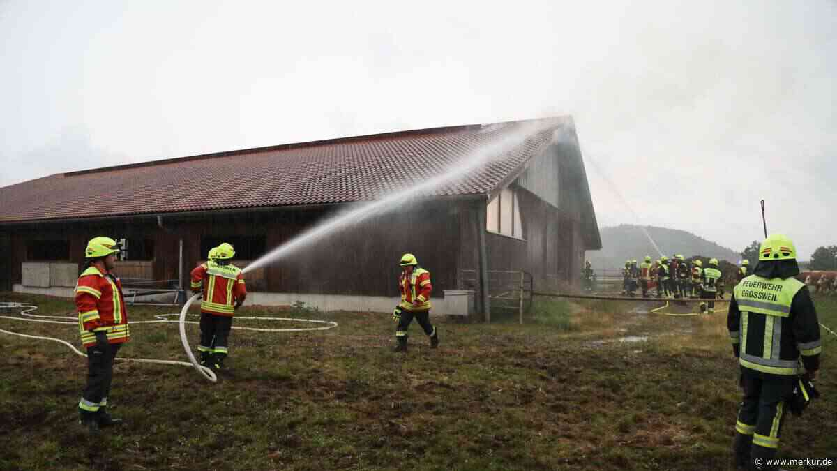 Blitz schlägt in Stall ein: Feuerwehr verhindert größeren Schaden