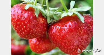 Talete optimaliseert waterbenutting in zachtfruit