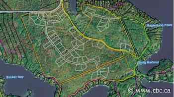 Ratepayers including comedian Martin Short angry over proposed subdivision near Ontario's Lake Rosseau