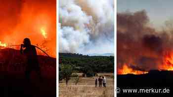 Tausende fliehen vor Feuer in Spanien, Waldbrände in Frankreich nicht unter Kontrolle
