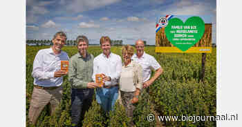 Jumbo stapt voor huismerkquinoa volledig over op Nederlandse biologische teelt