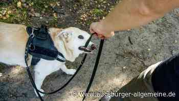 Hund beißt zwei Passanten am Weiher