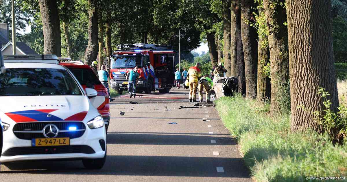 Twee 15-jarige slachtoffers fatale crash reden zonder toestemming in auto familielid