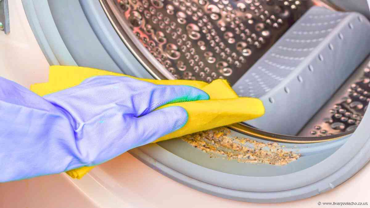 Washing machines will stay clean and mould-free if you do a 10-second task after doing laundry