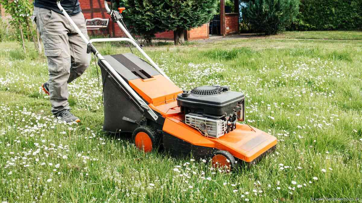 Gardeners warned to tweak lawnmowers as temperatures soar to 29C this week
