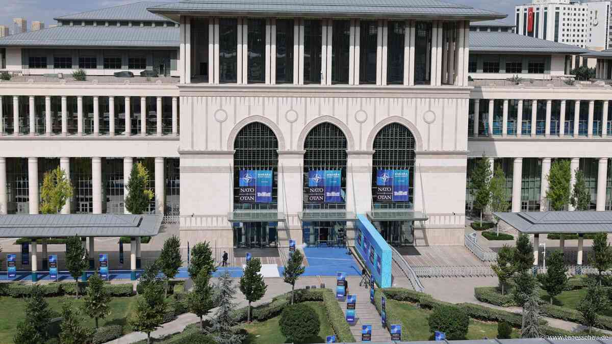 NATO-Gipfel in Ankara: Die Türkei als schwieriger Partner und Vermittler