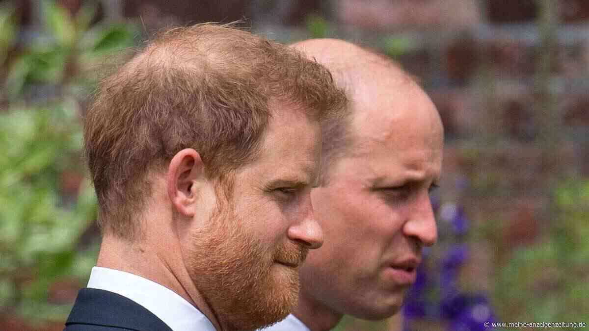 Zwei Brüder, zwei Welten, zwei Bankkonten: Der royale Ungleichheits-Vergleich