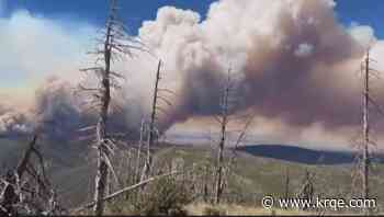 Sacaton Fire tops 9,000 acres in Gila Wilderness as crews protect cabins