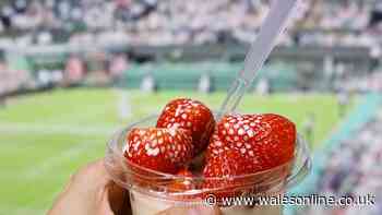 Tennis fan's horror at reality of Wimbledon strawberries and cream