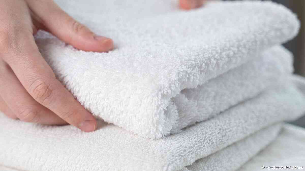 Simple trick to make towels white and fluffy again  — no washing machine needed