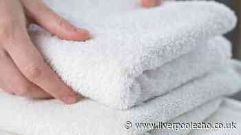 Simple trick to make towels white and fluffy again  — no washing machine needed
