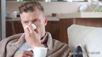 What your legal rights to annual leave 'refund' are if you're ill while off work