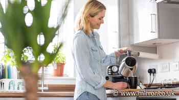Scientists say 6 foods can help avoid dementia - including 2 very common hot drinks