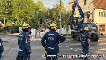 Baum stürzt auf Nebengebäude vom „Erlanger Haus“: THW-Bagger reißt Grundmauern ein
