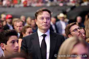 'Outrageous': Senator Slams Elon Musk for Paying Same Social Security Tax as an 'Electrician'