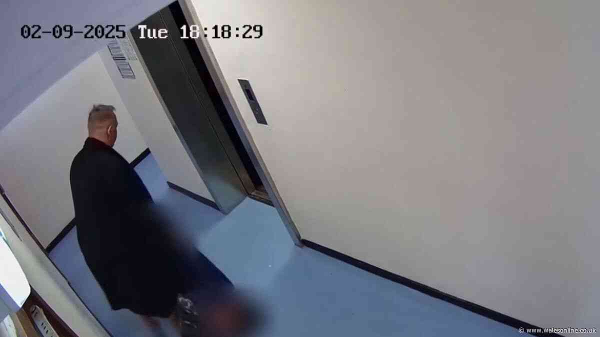 Man shoves and kicks woman into lift moments after raping her