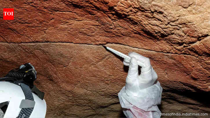 For the first time, scientists have recovered ancient DNA left behind on cave walls and rock art, opening a new way to study the people who made prehistoric art thousands of years ago