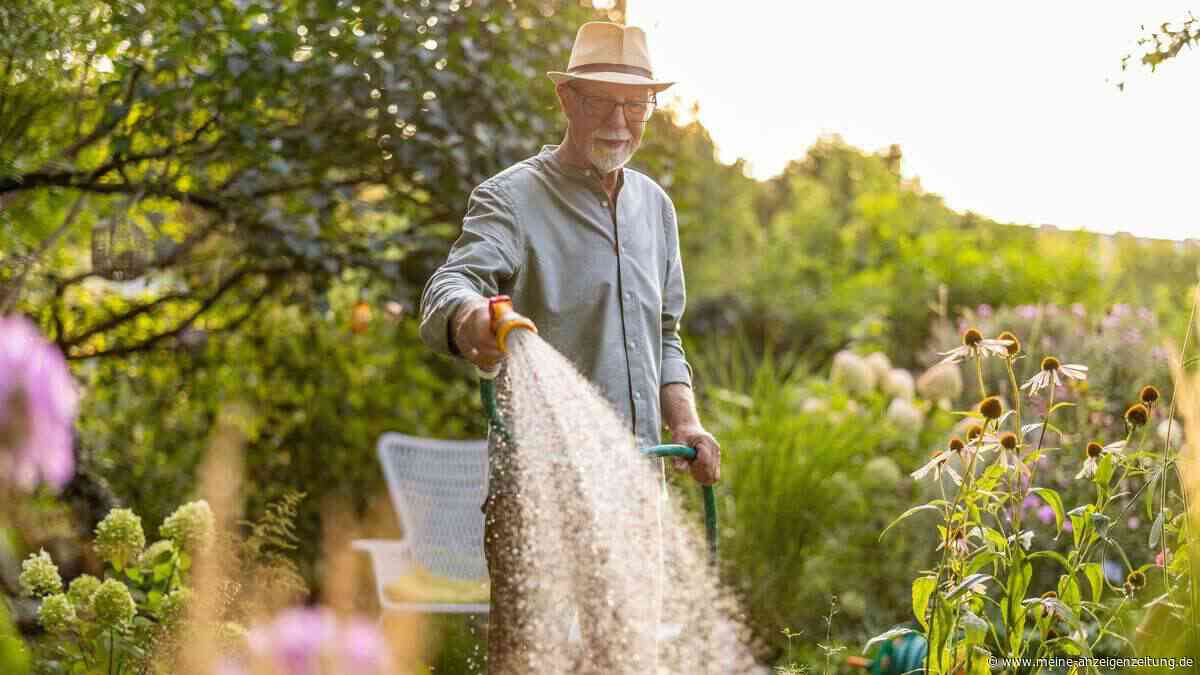 Bis zu 100.000 Euro Bußgeld: Kommunen reagieren mit Bewässerungsverboten auf Wasserknappheit