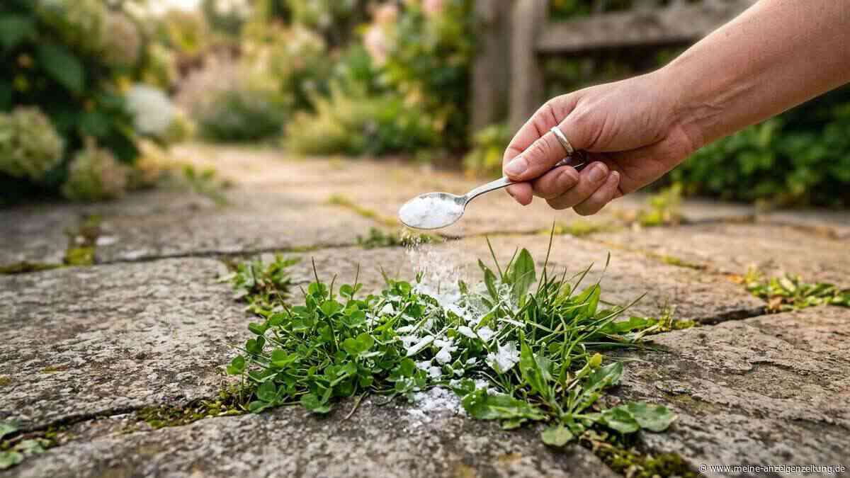 Dieses Hausmittel wirkt, um Unkraut zu vernichten – aber nicht überall