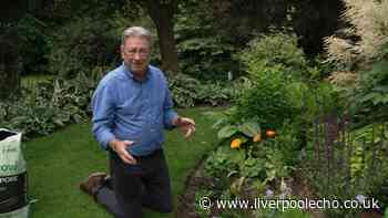 Alan Titchmarsh reveals go-to plant that will 'enhance your garden' this summer