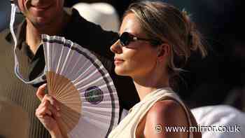Scientist settles whether hot or cold drinks can cool you down in UK heatwave