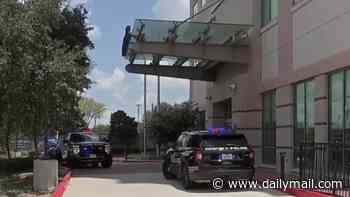 Mother, 40, killed son, 9, daughter, 6, then herself in murder-suicide inside Houston hotel room, police say