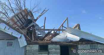 Flattened trees, damaged buildings caused by 2 tornadoes near Kingston: researchers