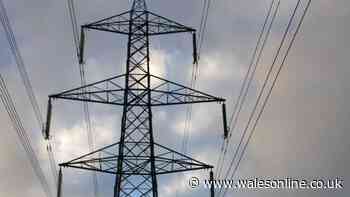 Pylon firm rebuked by High Court over treatment of Welsh farmers