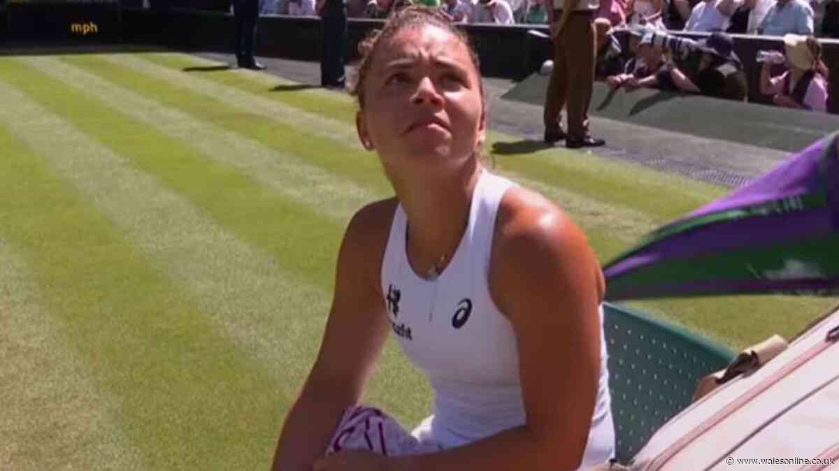 Wimbledon match halted as player makes plea for help on Centre Court