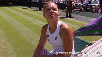 Wimbledon match halted as player makes plea for help on Centre Court