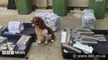 Two shops shut after illegal tobacco seized