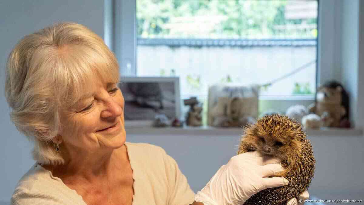 Monika Tanzer engagiert sich ehrenamtlich für Igel: Zuschuss soll ihren Sieben-Tage-Job entlasten
