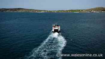 Swansea to Devon ferry could be 'fastest in the world' with tickets starting at £15