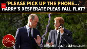 Future King William Leaves Prince Harry Hanging; Palace Fury Over Spare Still Burns?