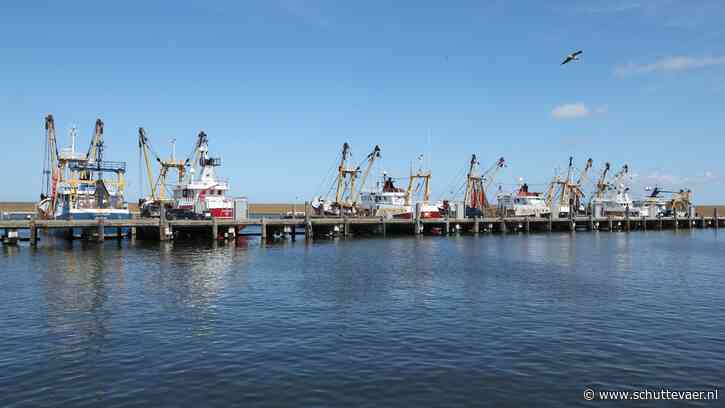 Steeds meer boomkorkotters opgelegd in Harlingen