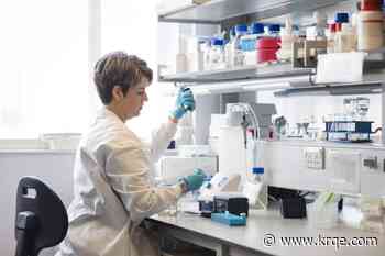 Gut bacteria may influence estrogen-related cancers, review finds