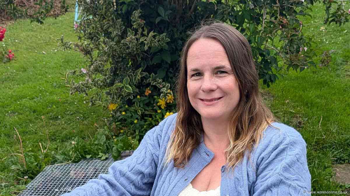 All the candidates running in the Trebanos by-election and what they want to do
