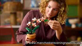 Argos shoppers race to buy £17 LEGO Orchid flower sets for £1.84 each online