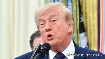 Trump admits not knowing what a red card was before Balogun sending off as Ted Cruz thanks him for FIFA call