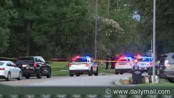 Boy, 2, and female relative, 74, BOTH drown while taking walk during family visit