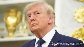 Panicked European leaders scramble to stop Trump 'blow-up' as one big NATO ally turns up without a plan