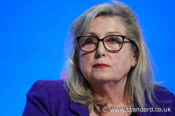 Tory London Assembly leader Susan Hall faces investigation over AI post of migrant brandishing machete