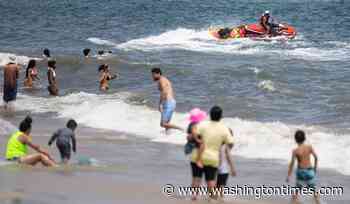 Swimmer bitten on the foot at New York beach in a suspected shark attack